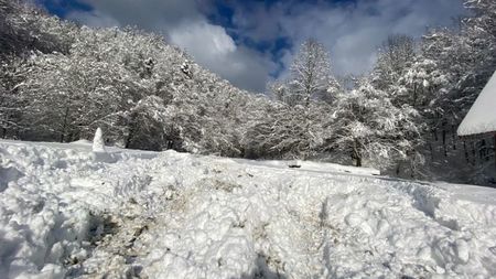IMG-20230205-WA0008