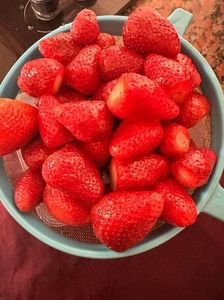 IMG-20230418-WA0000