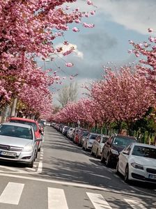 IMG-20230419-WA0033