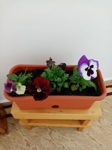 IMG-20230422-WA0004