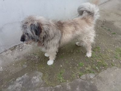 IMG-20230424-WA0010