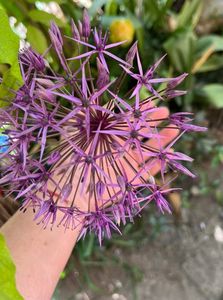 A7E295E2-BC17-4D80-9A47-EB8DFD62D521