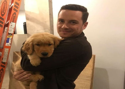 Don't know who's the golden retriever between those two.