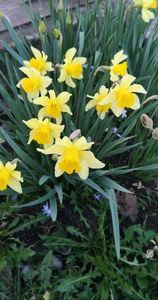 received_928087911865344