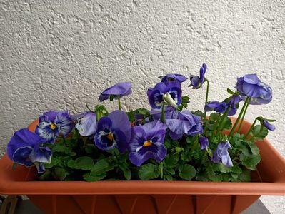 Img.2023.04.08