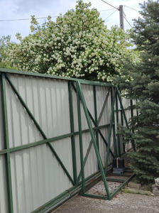 viburnum opulus(călin)