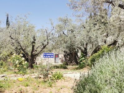 Gradina Ghetsimani