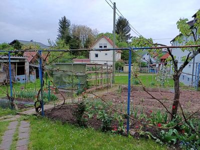 Img.2023.04.29