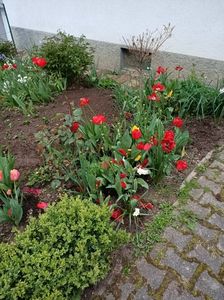 Img.2023.04.29