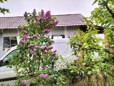 IMG20230512192159
