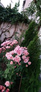 IMG-20230513-WA0140