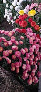 IMG-20230513-WA0138