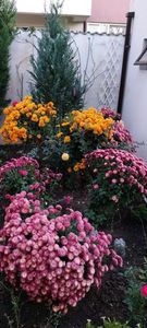 IMG-20230513-WA0135