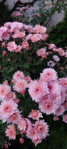 IMG-20230513-WA0133