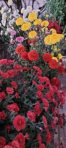 IMG-20230513-WA0127