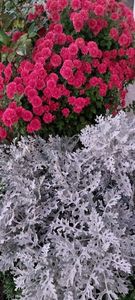 IMG-20230513-WA0126