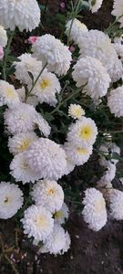 IMG-20230513-WA0125