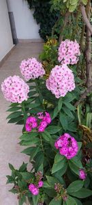 IMG-20230513-WA0122
