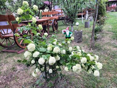 IMG20230514175332