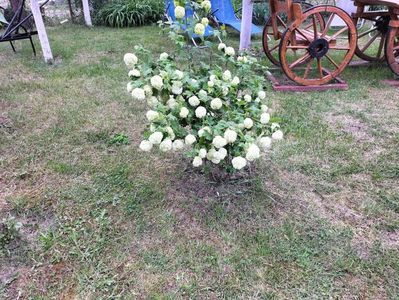 IMG20230514175149