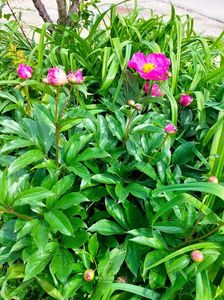 IMG20230518151746