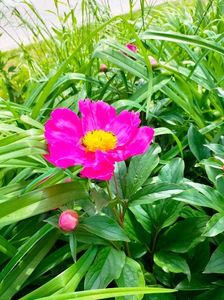 IMG20230518151659