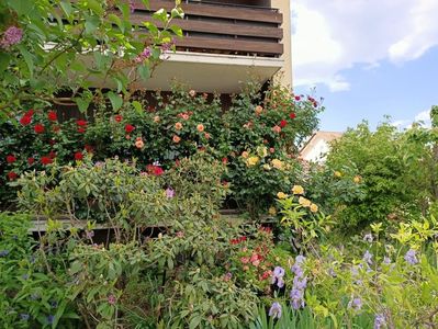 Img.2023.05.18