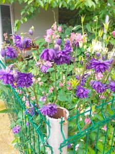 IMG20230519113906