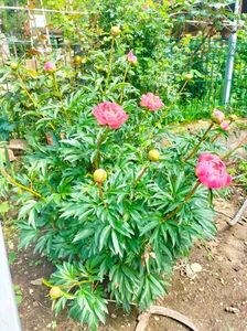 IMG20230519113146