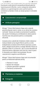 Screenshot_20230521_091034_com.android.chrome