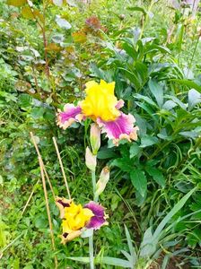 IMG20230520153930