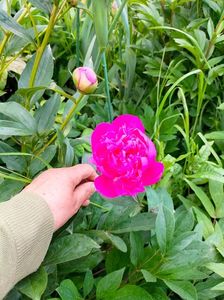IMG20230520153739