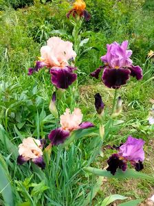 IMG20230520152808