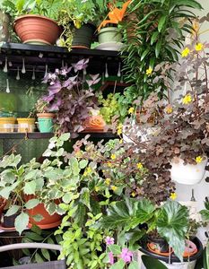 Aici ma odihnesc des...