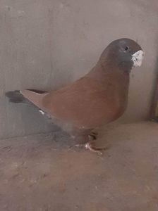 received_1166719910716299