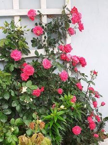 20230529_094946(0)