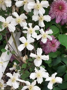 ; Ultima zi de primăvară! 31 Mai 2023
