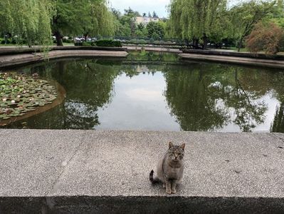 Nu toate zilele sunt bune...; Insa dau peste o asa imagine in parc si incolteste speranta ca maine vor pleca norii...
