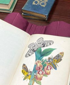 treasure found at the Argosy