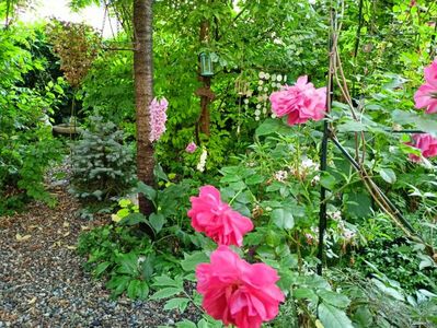 Rosarium Uetersen