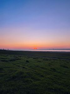IMG-2023.06.03