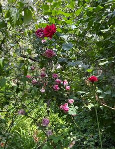 A999C316-BD18-41AD-A924-19F7A789B831