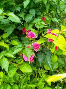 IMG20230606195449