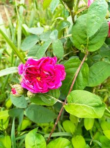 IMG20230606195347