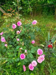 IMG20230606191814