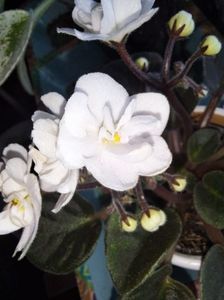 IMG-20230607-WA0004
