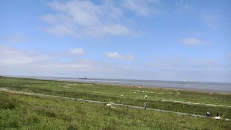 Img-2023.06.08