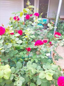IMG20230608174612