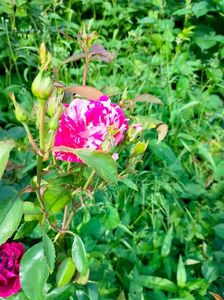 IMG20230608174553