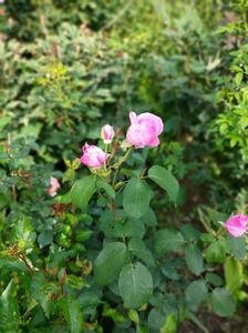 IMG20230608174530